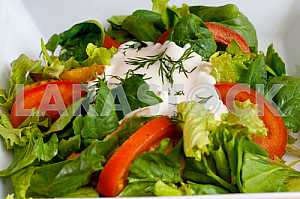 Fresh vegetable salad with sour cream