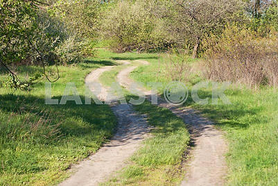 Winding road through the spring orchard