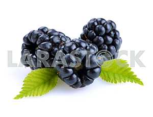 Dewberries (ежевика) и зеленые листья