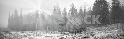 Shepherd huts in a misty forest