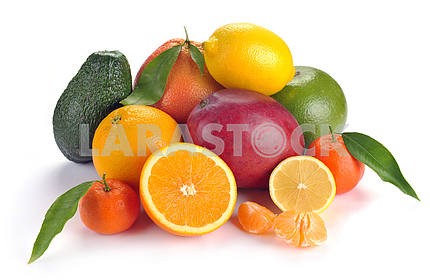 Set of citrus  fruits