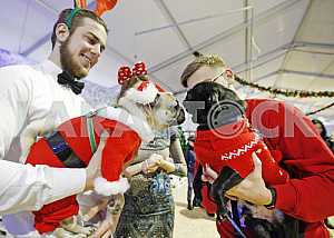 The Pug-Christmas party in Kiev.