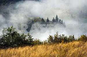Autumn landscape