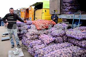 Trade in potatoes on the wholesale market in Kiev