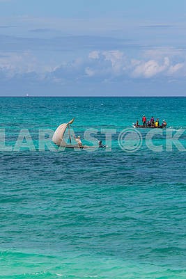 Fishing boats in the Indian Ocean