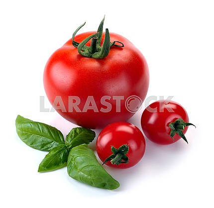 Leaves of basil and tomatoes