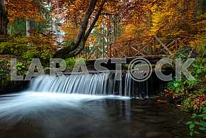 Autumn landscape