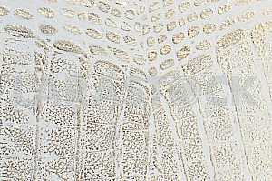 Wood texture with natural pattern