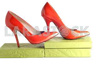 Bright, multicolored female shoes on high heels