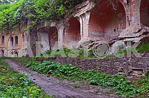 Fort Cockroaches