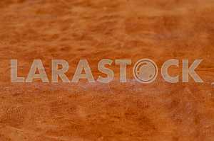 Wood texture with natural pattern
