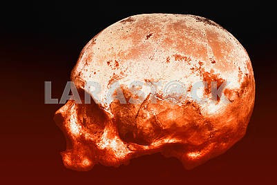 Настоящий человеческий череп на изолированном черно-красном фоне