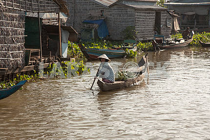 Cambodian woman floating in a boat with coconuts near the fishing village of floating homes on Lake Tonle Sap, Cambodia
