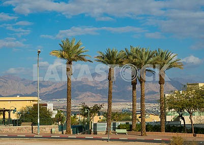 View of Aqaba