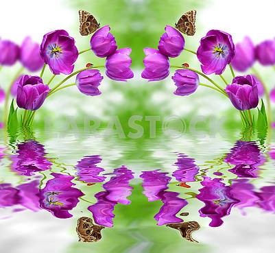 Mirrored purple tulips, brown butterfly and their reflection in the water