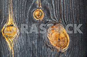 Wood texture with nature pattern