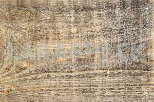 Wood texture with natural pattern