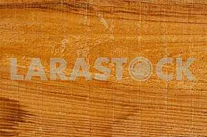 Wood texture with natural pattern