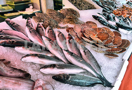 Steaks fresh tuna on display fish market