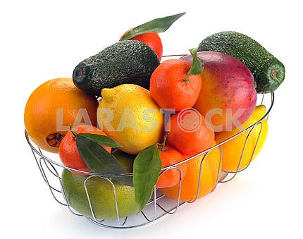 set of citrus fruits in basket