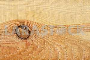 Wood texture with natural pattern
